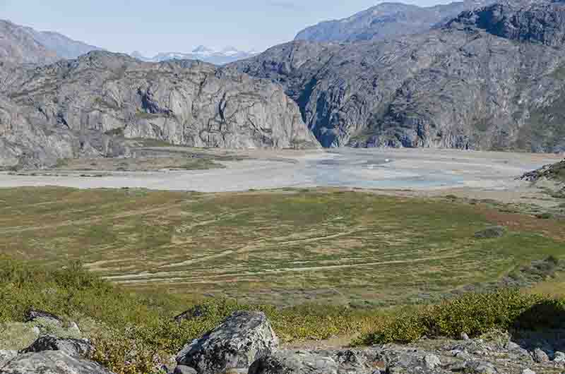 111 - Groenlandia - fiordo Tunulliarfik - Narsarsuaq - valle de las Mil Flores